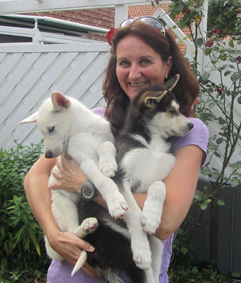 156113_586045761435632_371801908_n